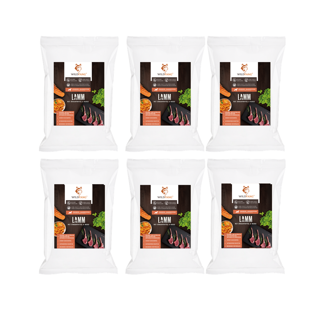 Genussbox Adult - Trockenfutter-Hundefutter-Wildfang-6 x Lamm-