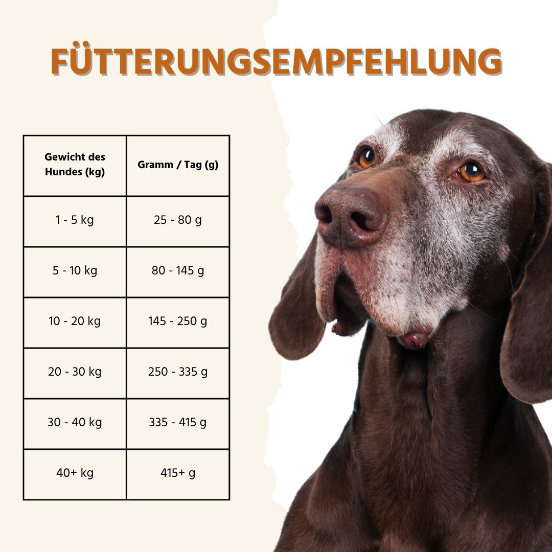 Sensitive Trockenfutter Sparpack 2 x 2 kg mit Truthahn - getreidefrei-Hundefutter-Wildfang-