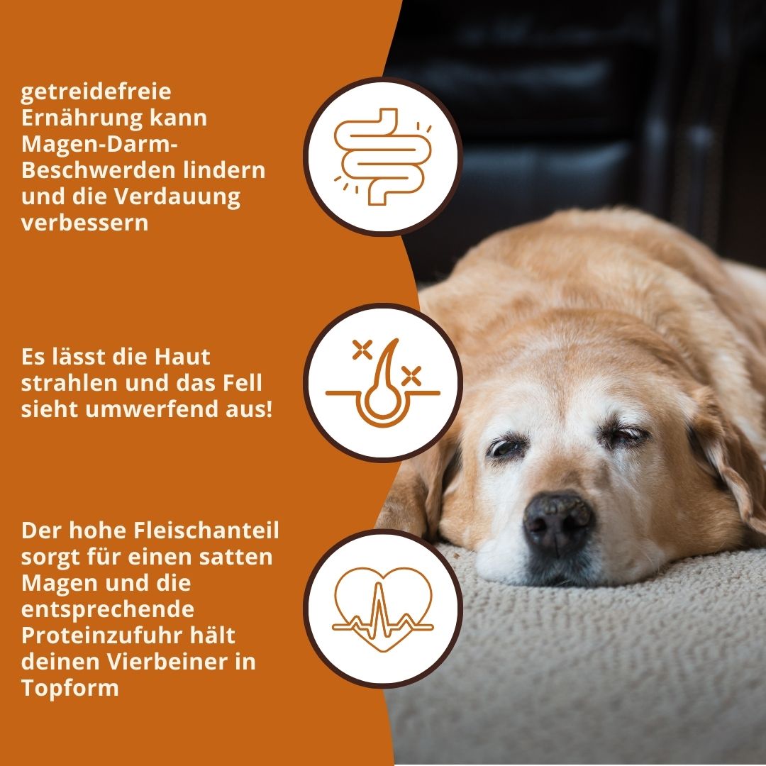 Sensitive Trockenfutter mit Truthahn - getreidefrei-Hundefutter-Wildfang-