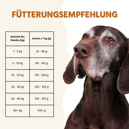 Sensitive Trockenfutter mit Truthahn - getreidefrei-Hundefutter-Wildfang-