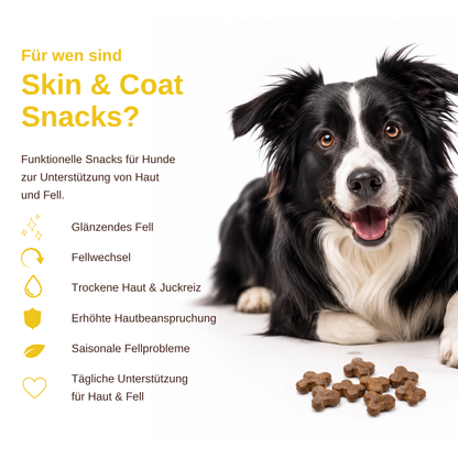 Skin & Coat – Funktionelle Snacks für Haut & Fell-Hundefutter-Wildfang-