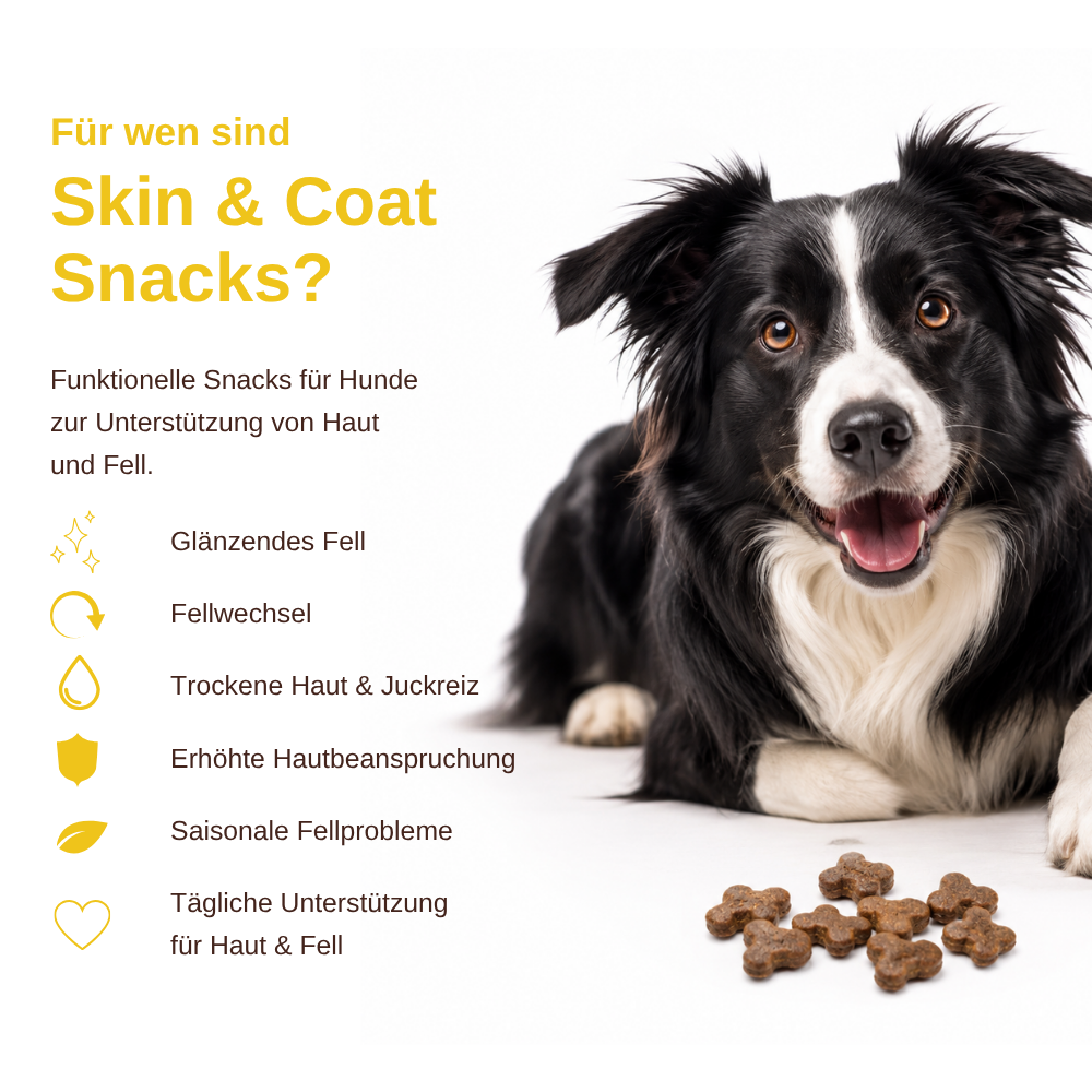 Skin & Coat – Funktionelle Snacks für Haut & Fell - 3er Set-Hundefutter-Wildfang-