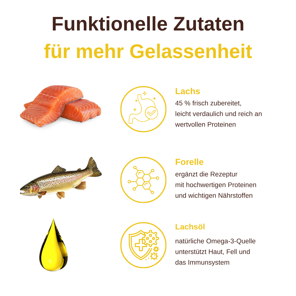 Skin & Coat – Funktionelle Snacks für Haut & Fell-Hundefutter-Wildfang-