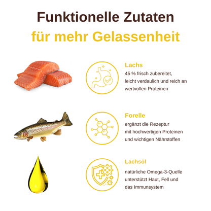 Skin & Coat – Funktionelle Snacks für Haut & Fell-Hundefutter-Wildfang-
