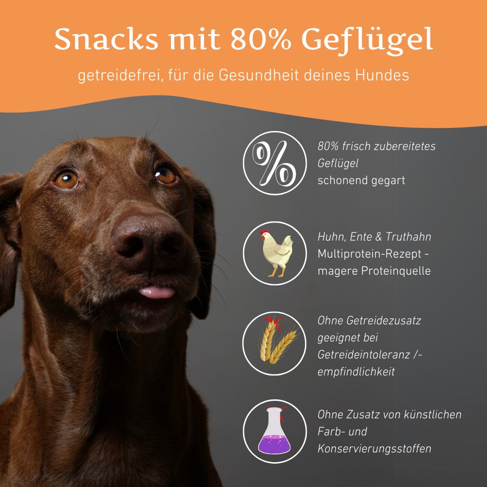 Snacks mit 80% Geflügel - getreidefrei-Hundefutter-Wildfang-