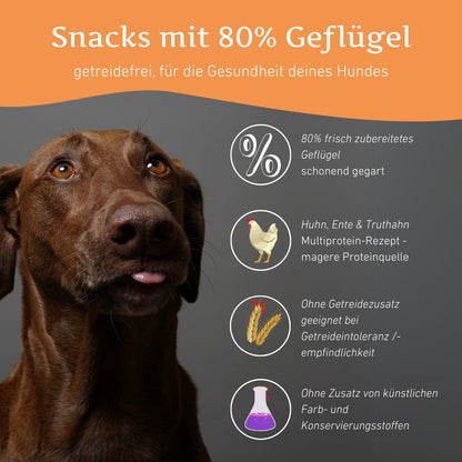 Snacks mit 80% Geflügel - getreidefrei-Hundefutter-Wildfang-