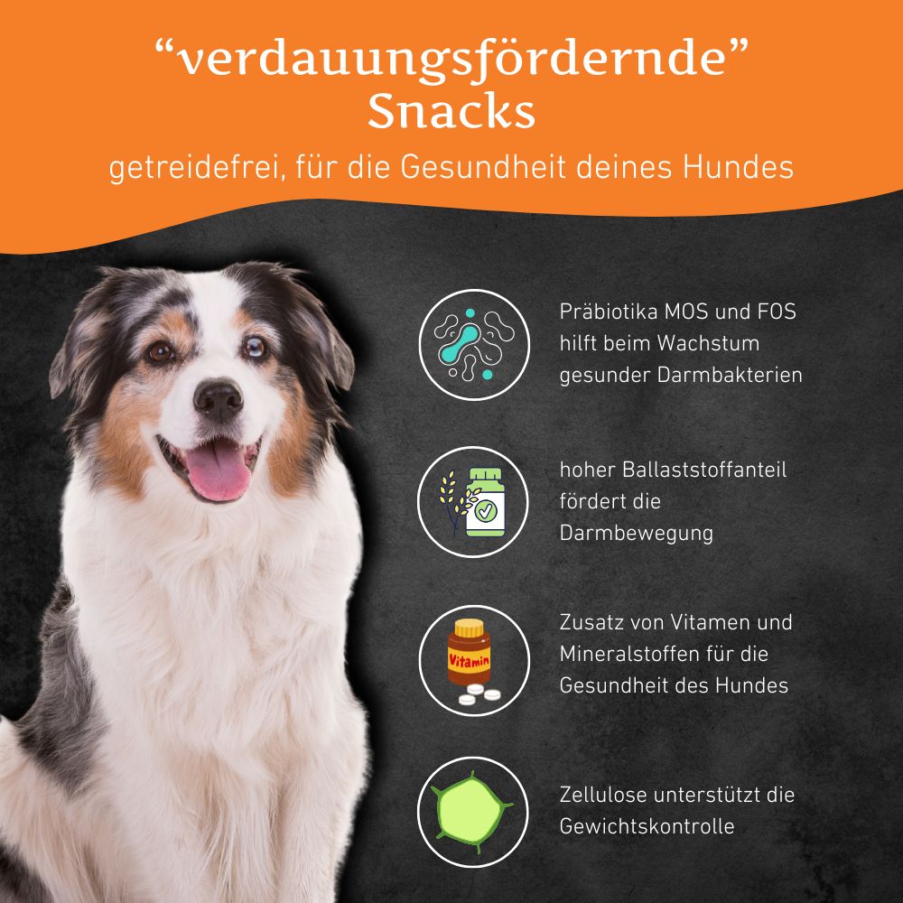 Cuerno de carnero M / Ram horn M-Hundebedarf-Wildfang.pet-
