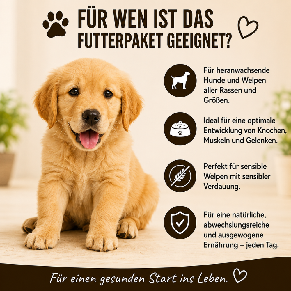 Welpen Futterpaket Huhn - getreidefrei-Hundefutter-Wildfang-