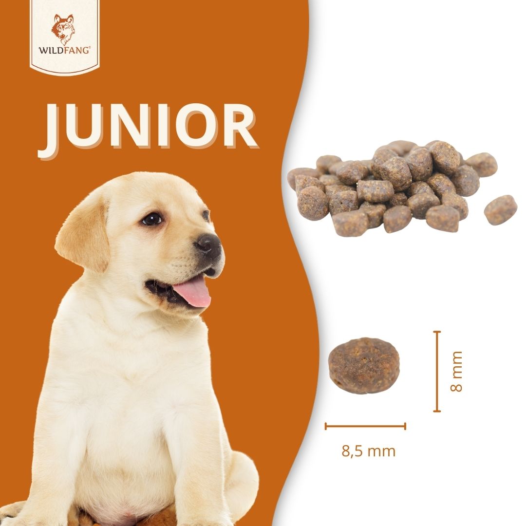 Welpen Futterpaket Huhn - getreidefrei-Hundefutter-Wildfang-
