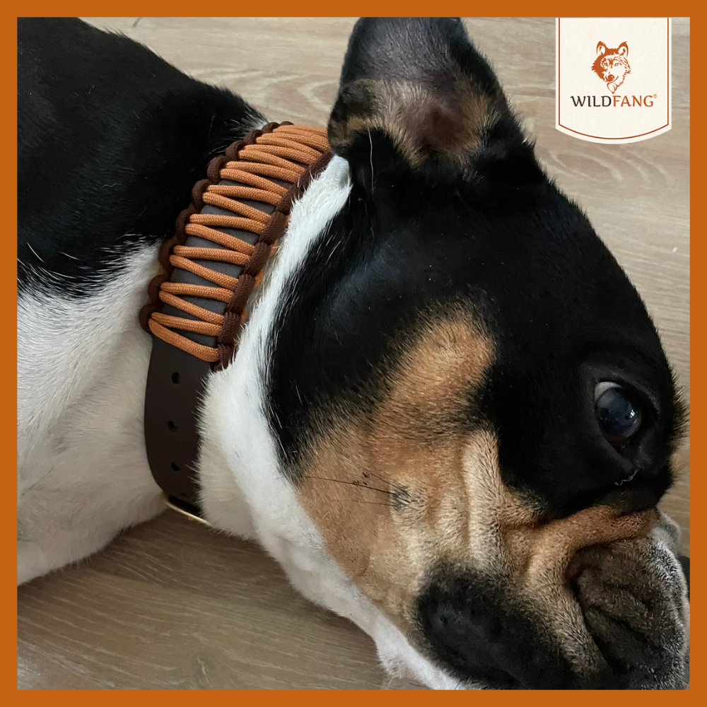 Hundehalsband "Naturgeflüster"-Hundezubehör-Wildfang-