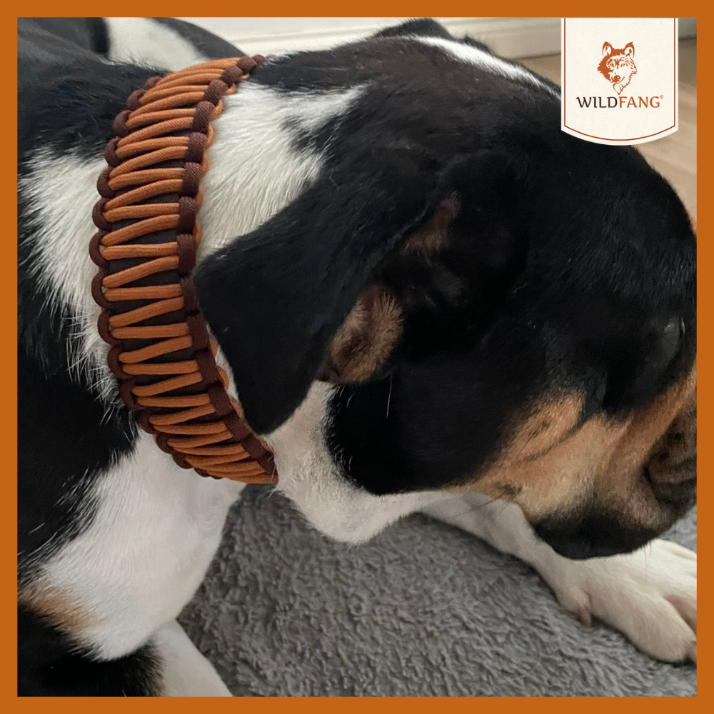 Hundehalsband "Naturgeflüster"-Hundezubehör-Wildfang-