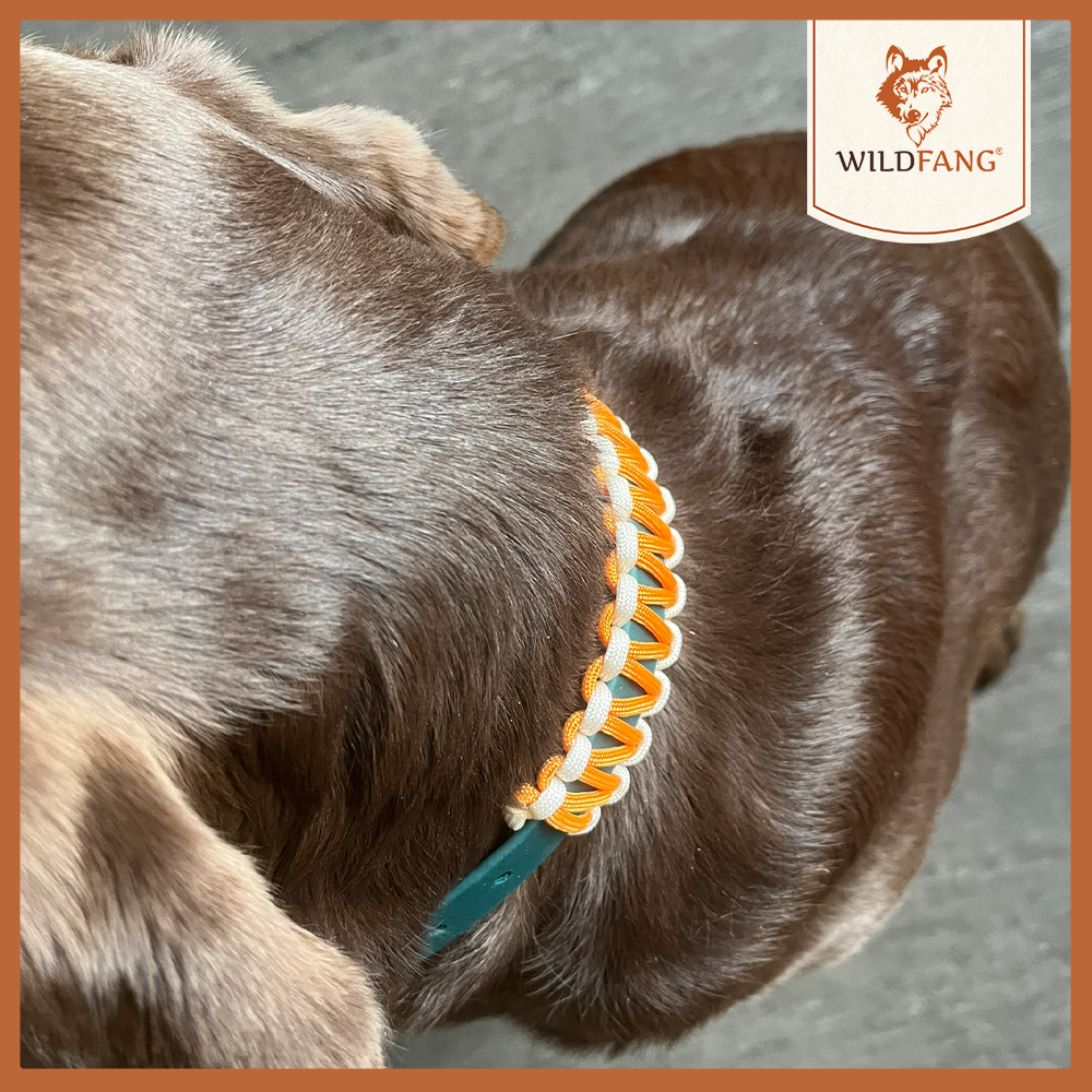 Hundehalsband "Waldgeflüster"-Hundezubehör-Wildfang-