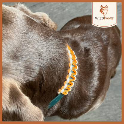 Hundehalsband "Waldgeflüster"-Hundezubehör-Wildfang-
