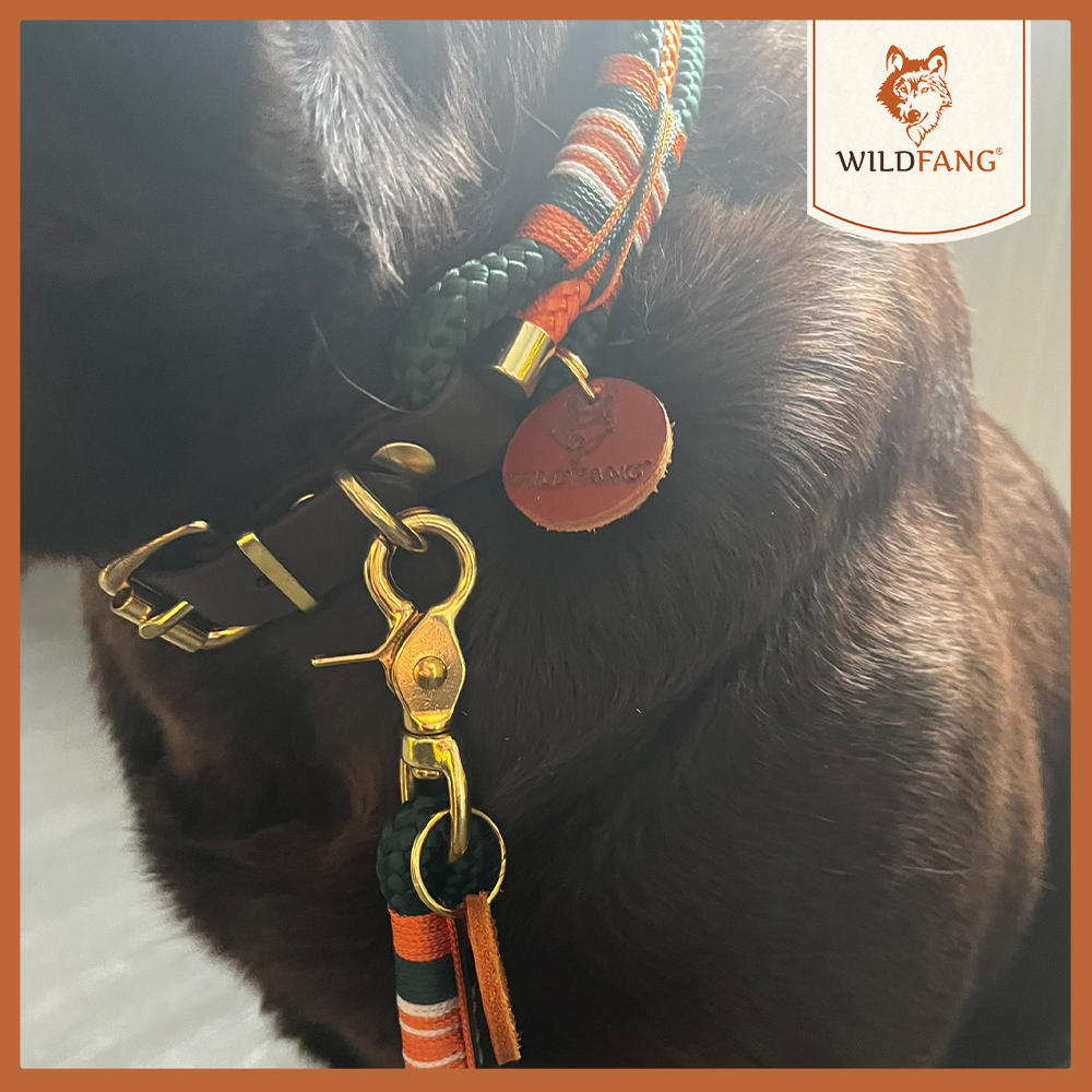 Hundehalsband "Wandergeflüster"-Hundezubehör-Wildfang-