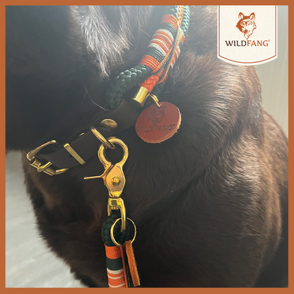 Hundehalsband "Wandergeflüster"-Hundezubehör-Wildfang-