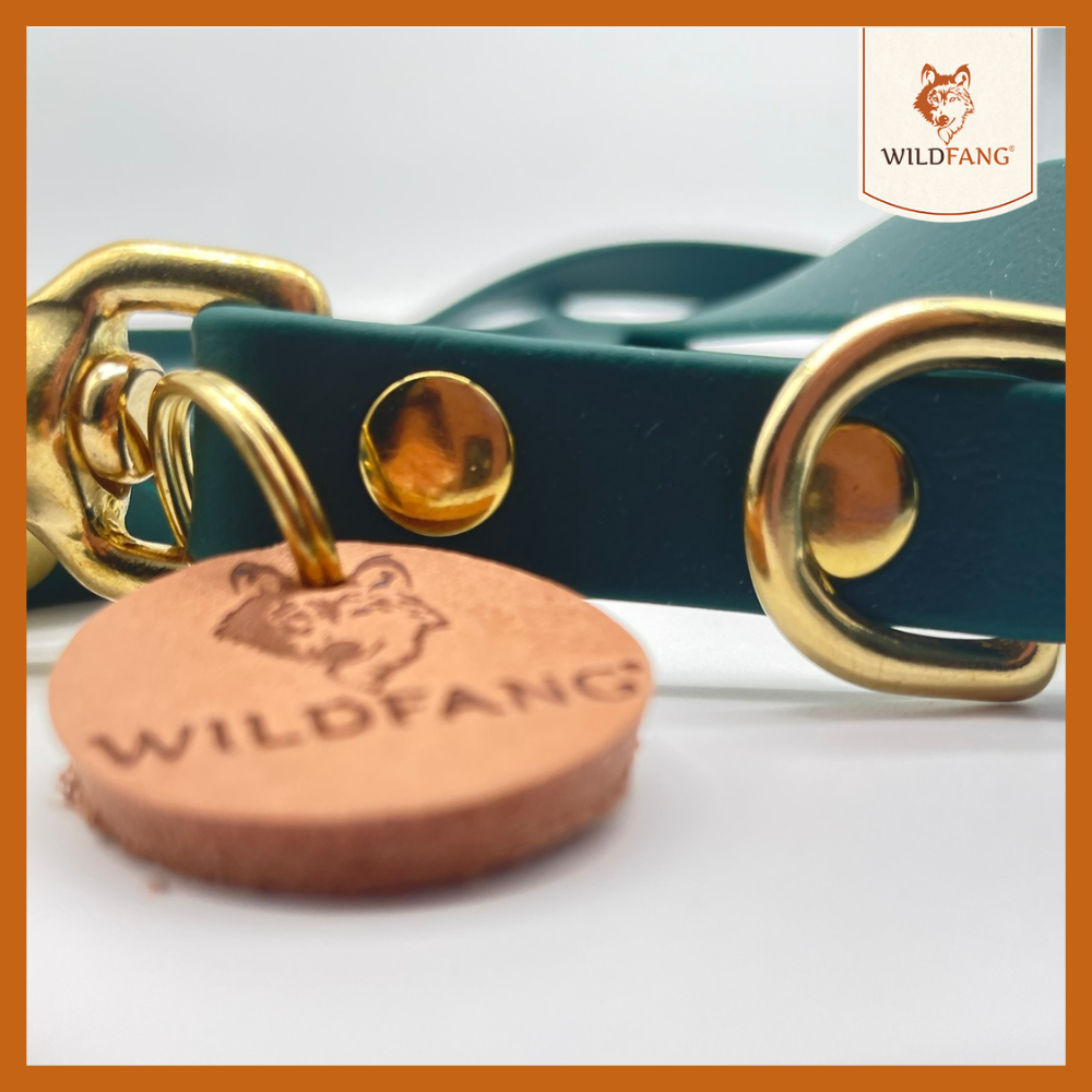 Hundeleine "Waldgeflüster"-Hundebedarf-Wildfang-