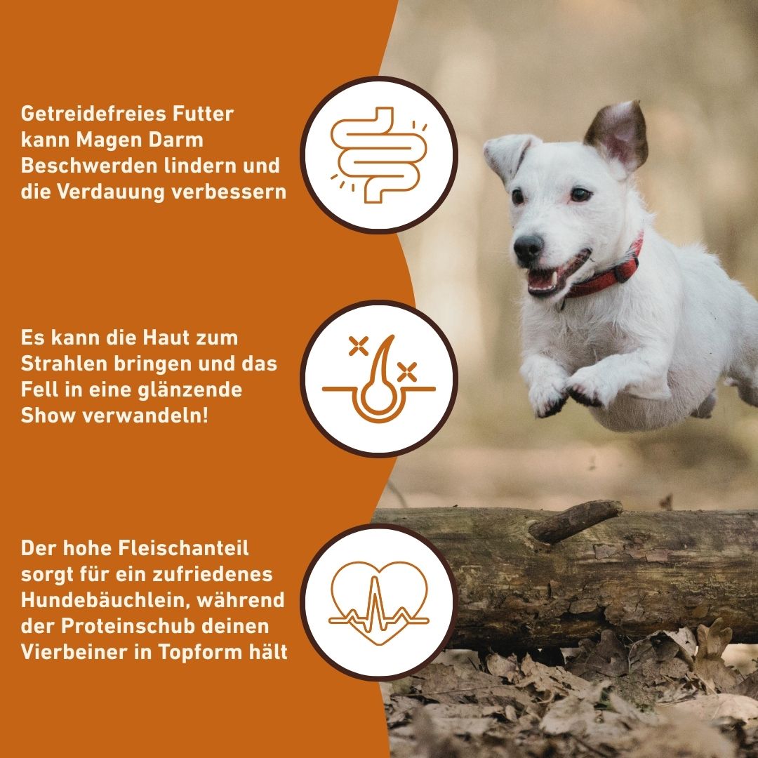 Adult Trockenfutter mit Wild - getreidefrei-Hundespielzeug-Wildfang-