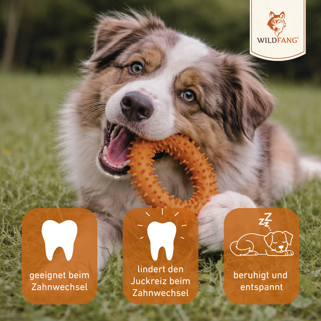 Beißring "Balou"-Hundespielzeug-Wildfang-
