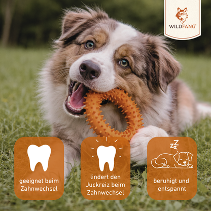 Beißring "Balou"-Hundespielzeug-Wildfang-