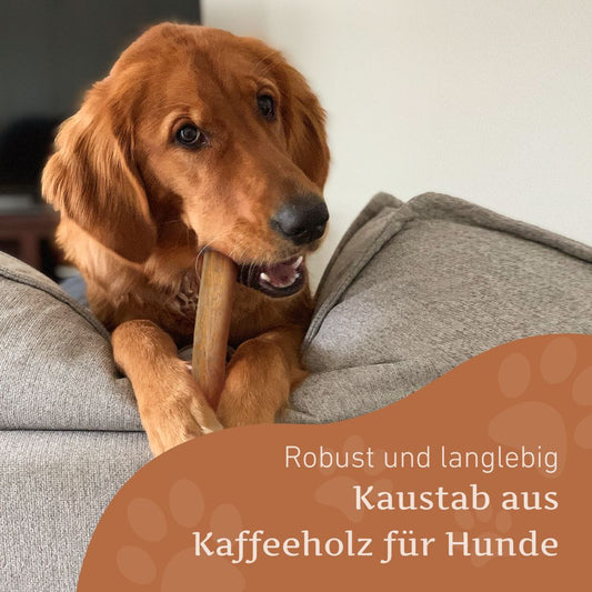 Kaffeeholz Kaustab-Hundespielzeug-Wildfang-