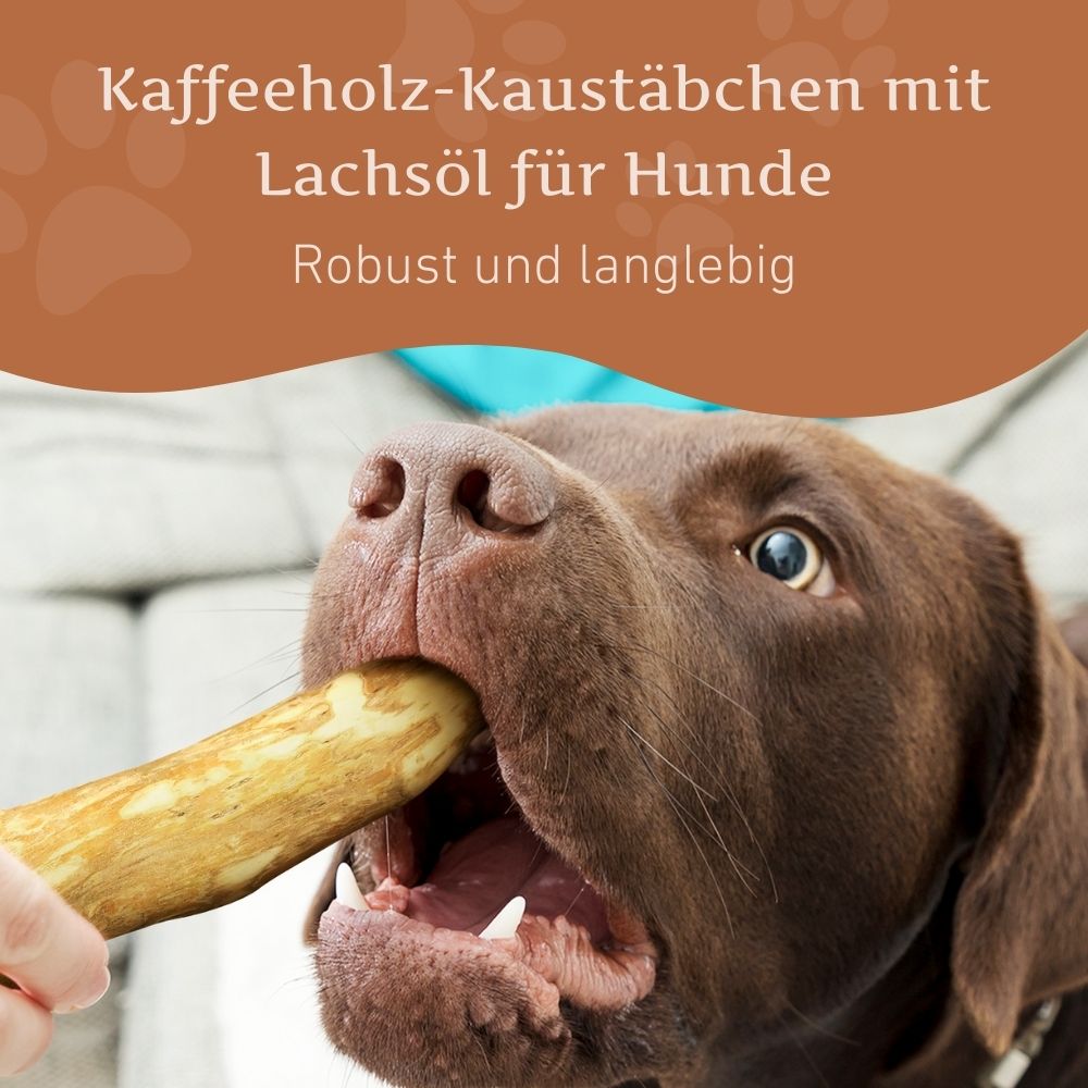 Kaffeeholz Kaustab mit Lachsöl - 3er Set-Hundespielzeug-Wildfang-