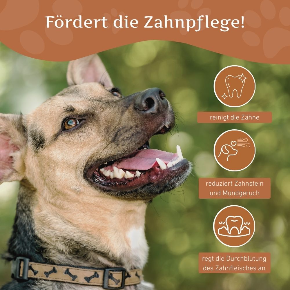 Kaffeeholz Kaustab mit Lachsöl - 3er Set-Hundespielzeug-Wildfang-