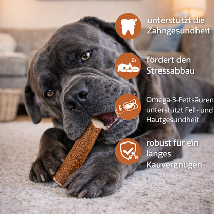 Kaugeweih Rothirsch mit Lachsöl-Hundespielzeug-Wildfang-