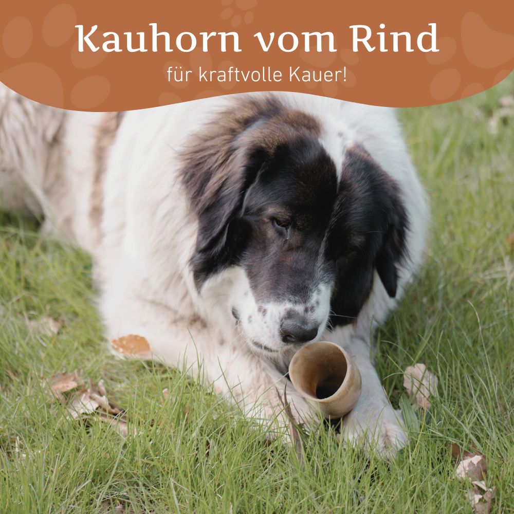 Kauhorn vom Rind-Hundespielzeug-Wildfang-