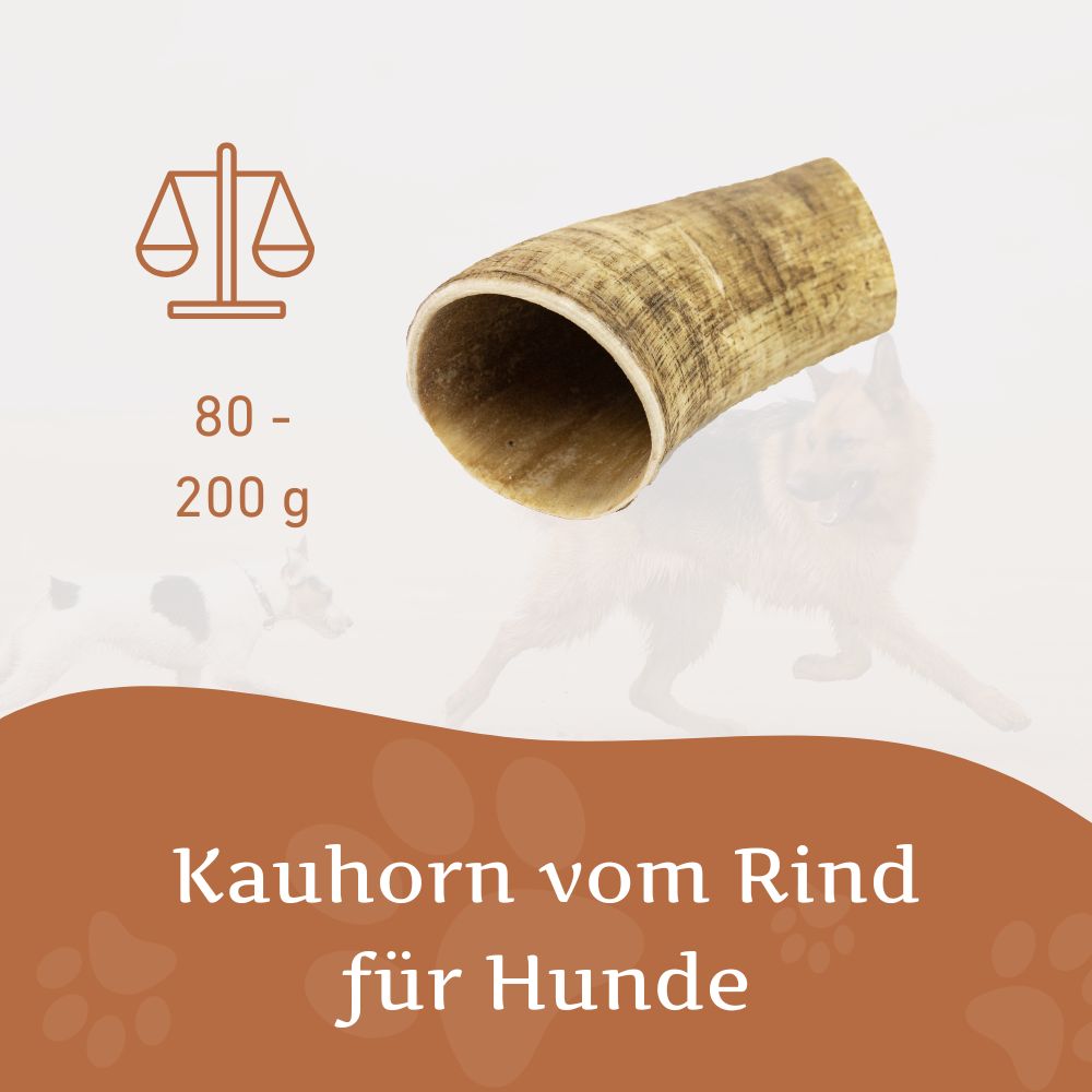 Kauhorn vom Rind-Hundespielzeug-Wildfang-