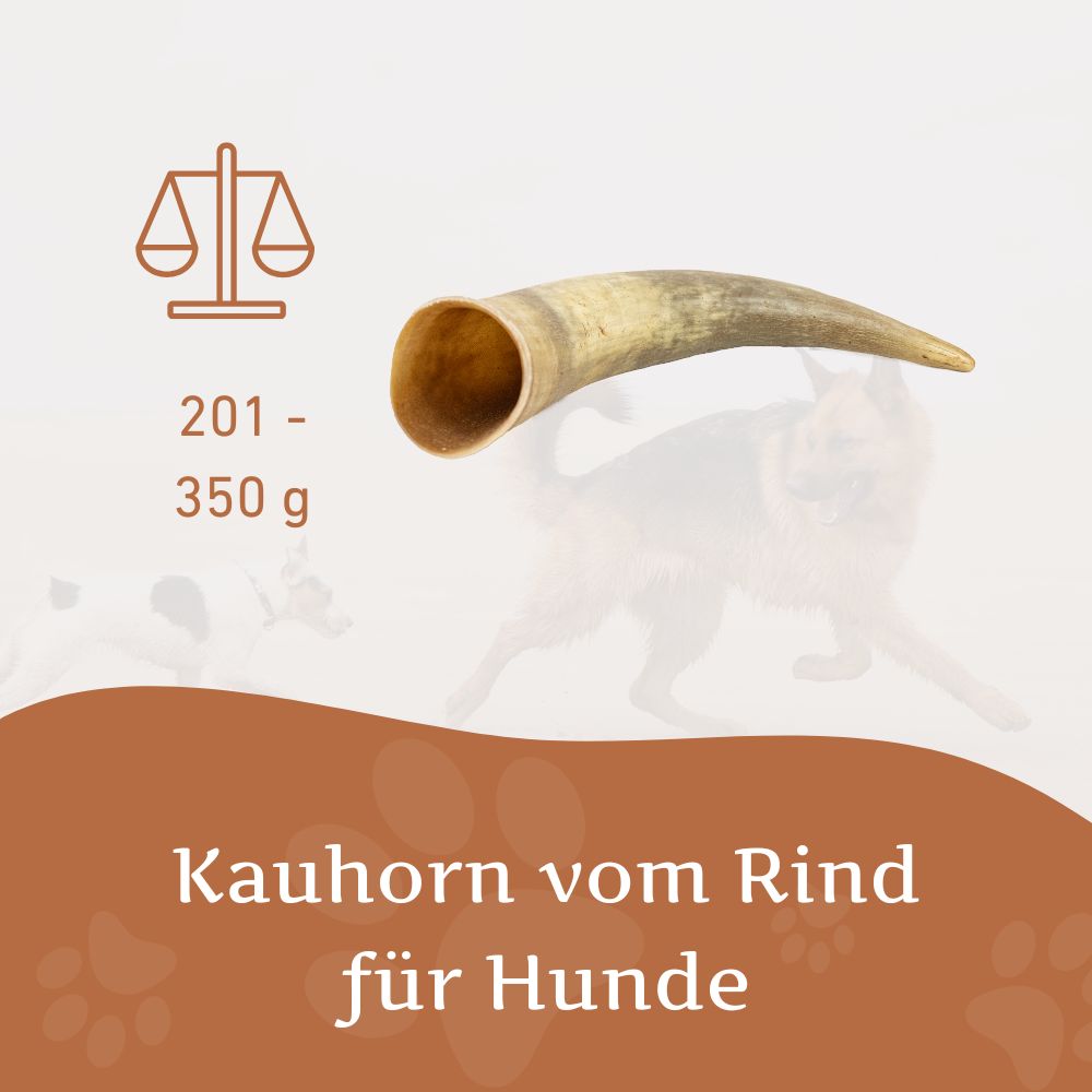 Kauhorn vom Rind-Hundespielzeug-Wildfang-