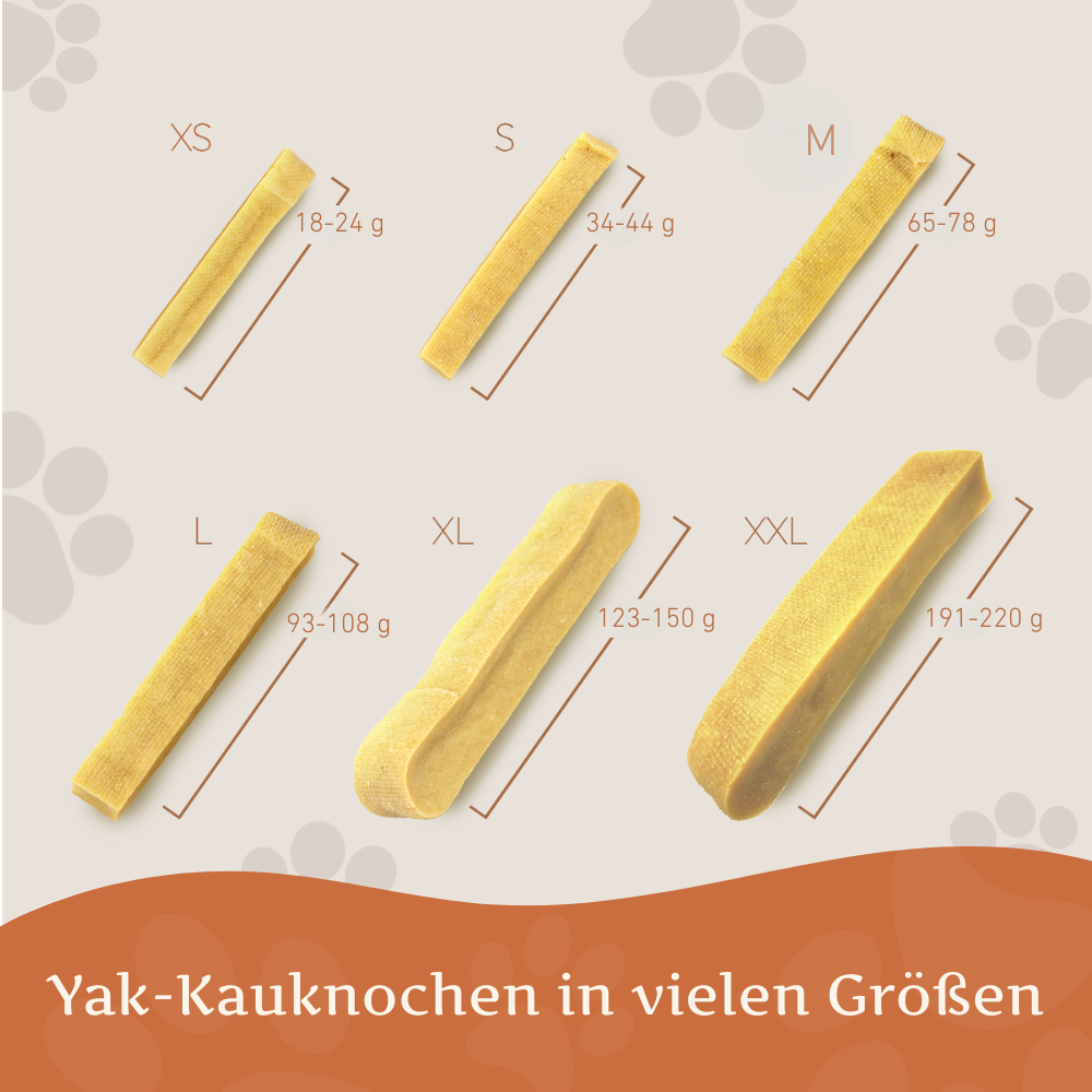 Kaukäse - Hartkäse Kaustab - 6er Set-Hundespielzeug-Wildfang-
