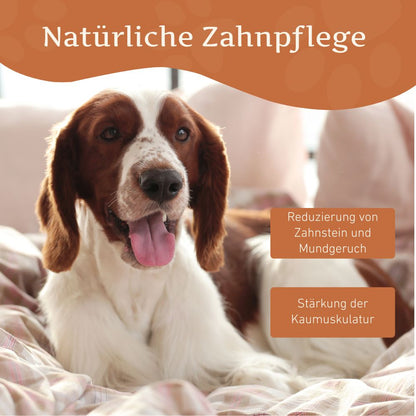 Kaukäse - Hartkäse Kaustab-Hundebedarf-Wildfang-