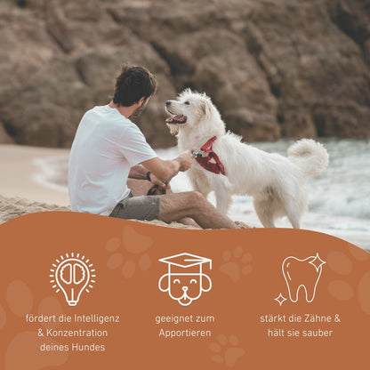 Flugrakete "Rocket"-Hundespielzeug-Wildfang-