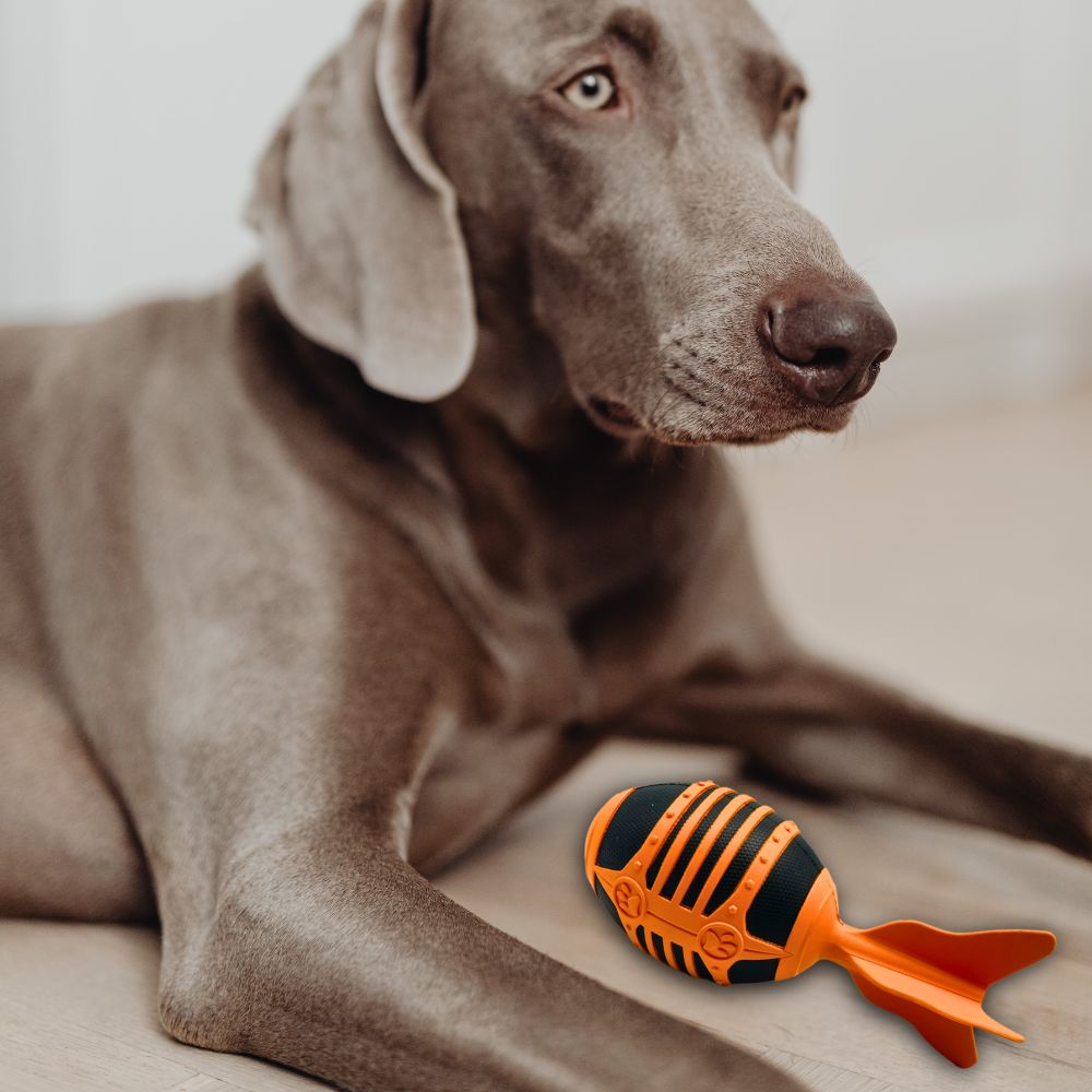 Flugrakete "Rocket"-Hundespielzeug-Wildfang-