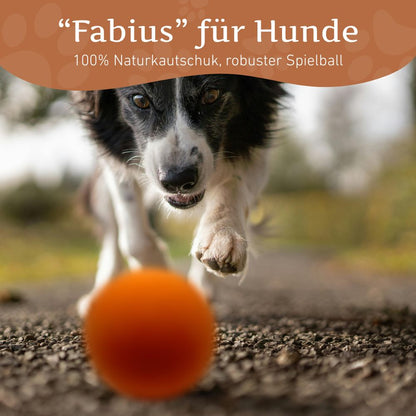 Flummiball "Fabius"-Hundespielzeug-Wildfang-