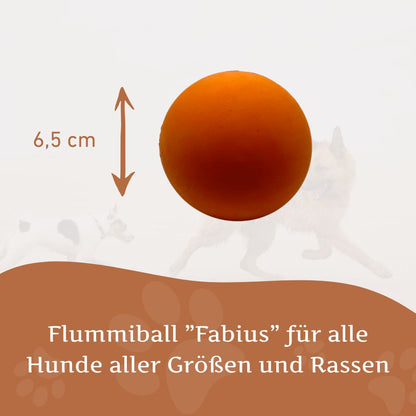 Flummiball "Fabius"-Hundespielzeug-Wildfang-