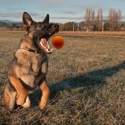 Flummiball "Fabius"-Hundespielzeug-Wildfang-