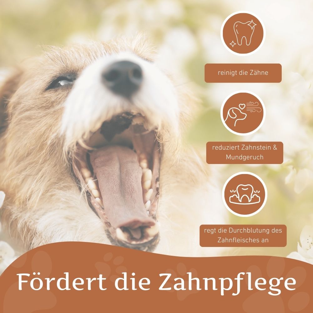 Kauring "Robin"-Hundespielzeug-Wildfang-