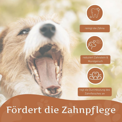 Kauring "Robin"-Hundespielzeug-Wildfang-