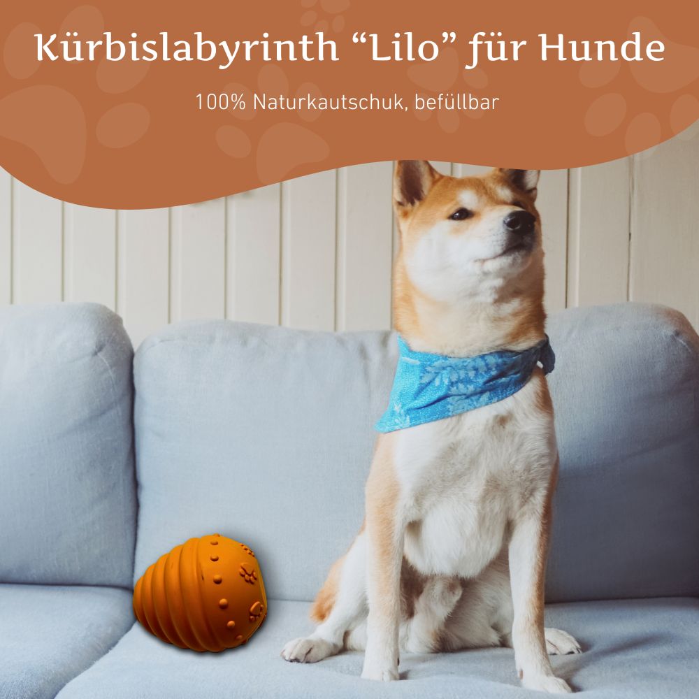 Kürbislabyrinth "Lilo"-Hundespielzeug-Wildfang-