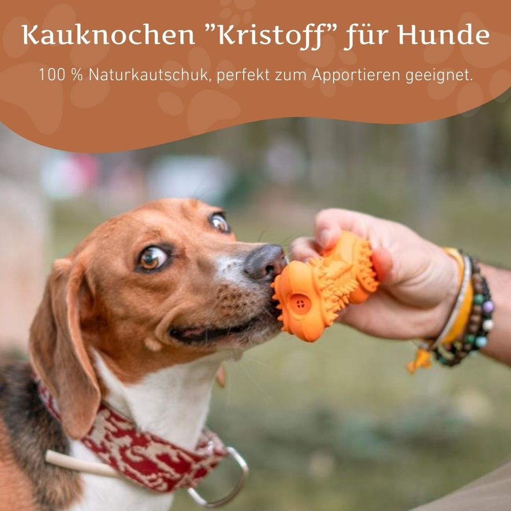 Quietschknochen "Kristoff"-Hundespielzeug-Wildfang-