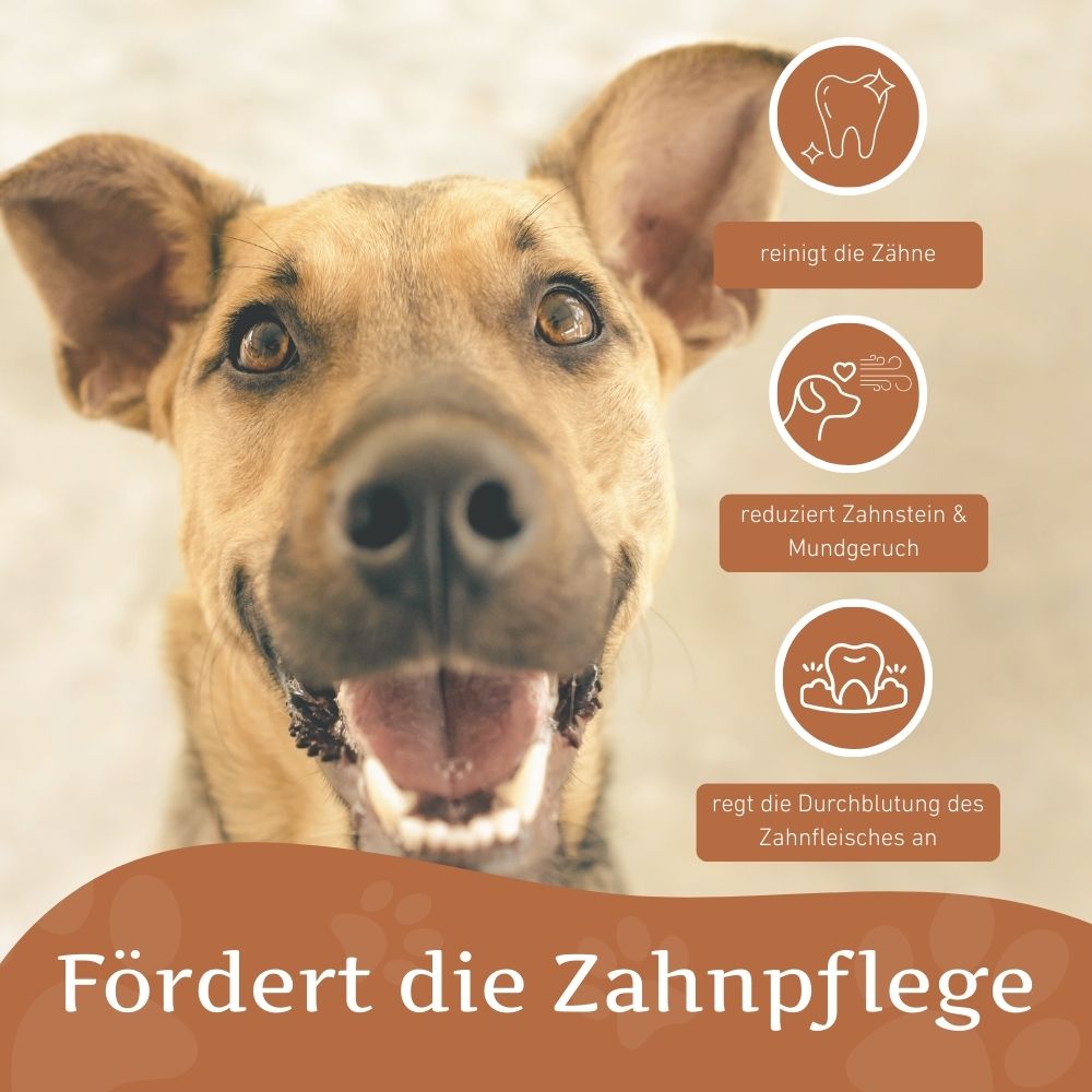 Quietschknochen "Kristoff"-Hundespielzeug-Wildfang-