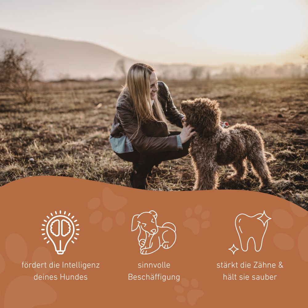 Quietschknochen "Kristoff"-Hundespielzeug-Wildfang-