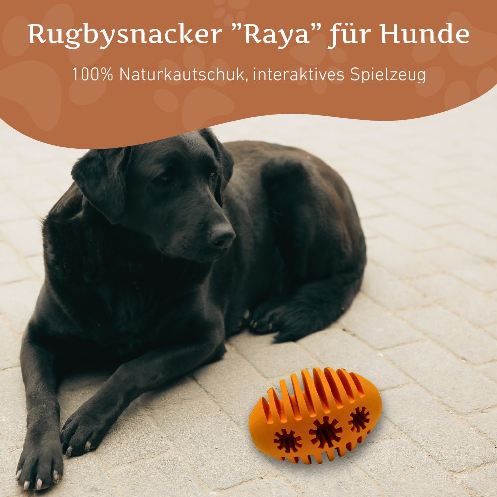 Rugbysnacker "Raya"-Hundespielzeug-Wildfang-