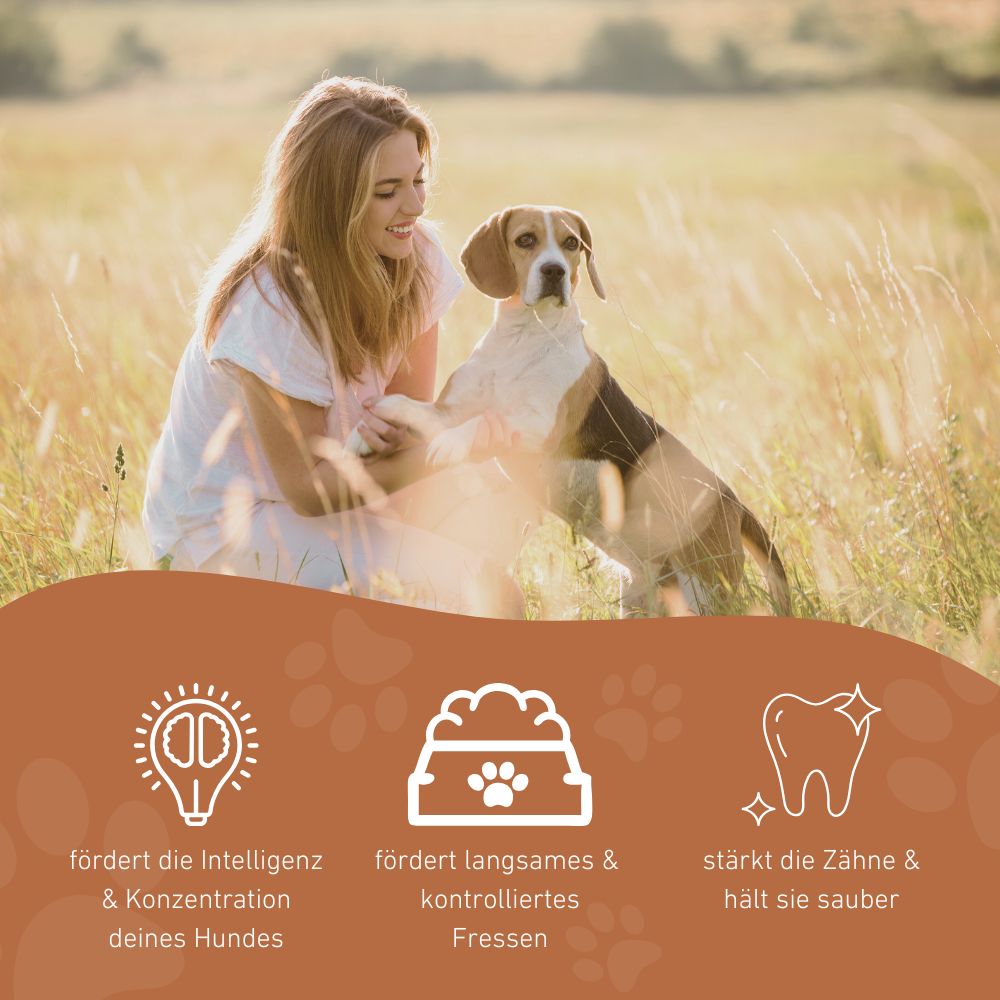 Rugbysnacker "Raya"-Hundespielzeug-Wildfang-