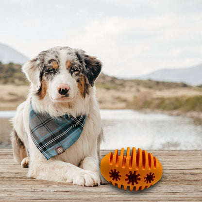 Rugbysnacker "Raya"-Hundespielzeug-Wildfang-