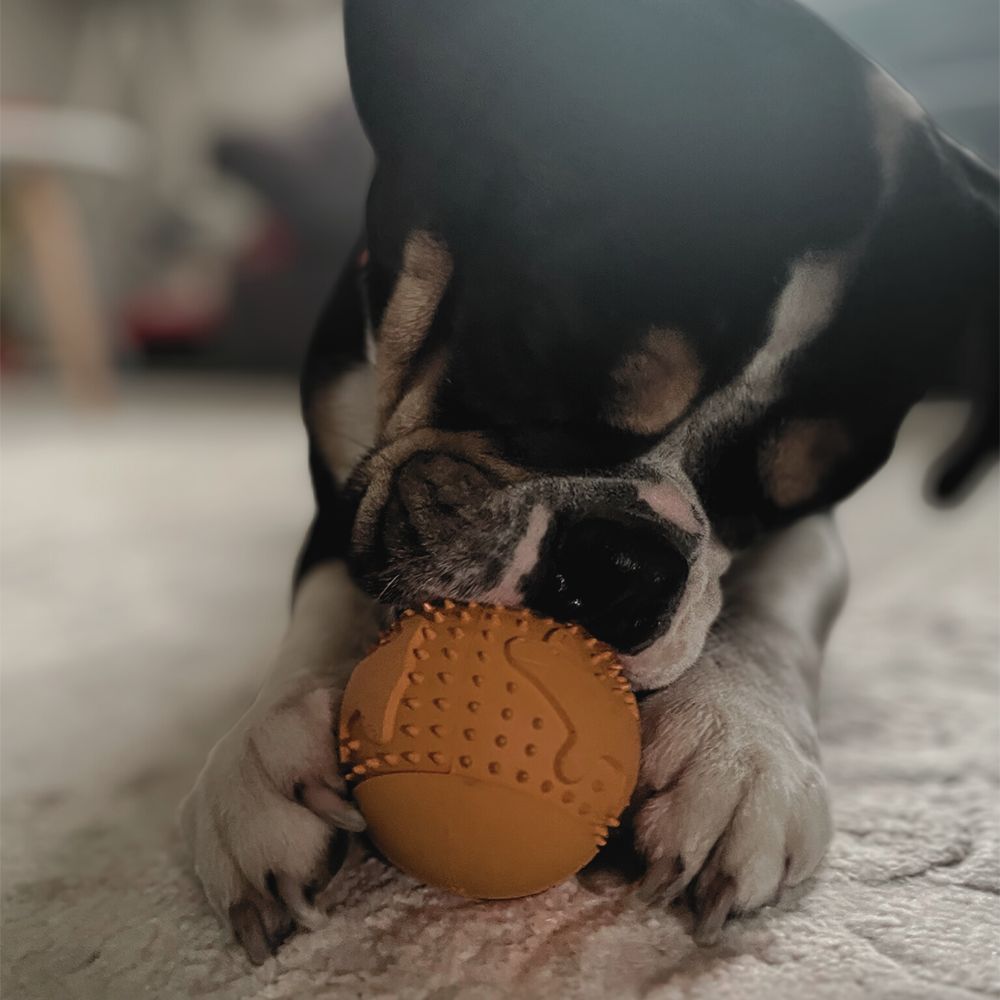 Snackball "Simba"-Hundespielzeug-Wildfang-