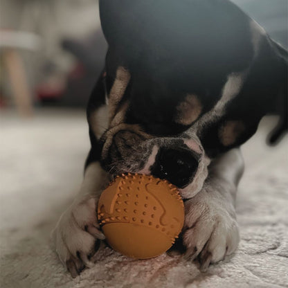 Snackball "Simba"-Hundespielzeug-Wildfang-