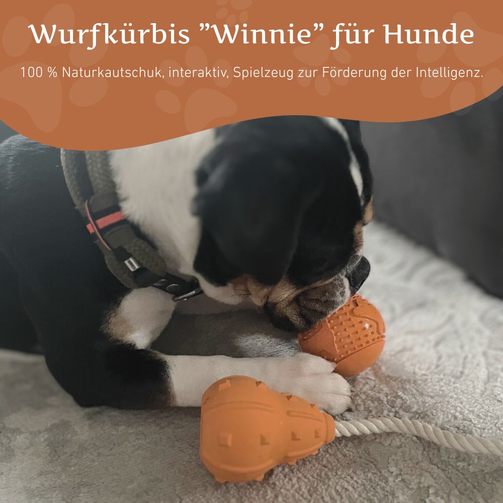 Wurfkürbis "Winnie"-Hundespielzeug-Wildfang-