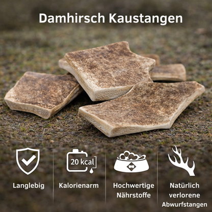 Kaustange vom Damhirsch-Hundespielzeug-Wildfang-
